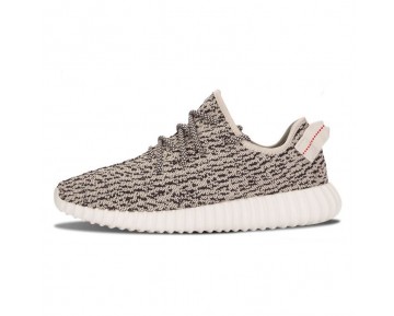 Schuhe Unisex Adidas Originals Yeezy Boost 350 Aq4832 Turtle Dove